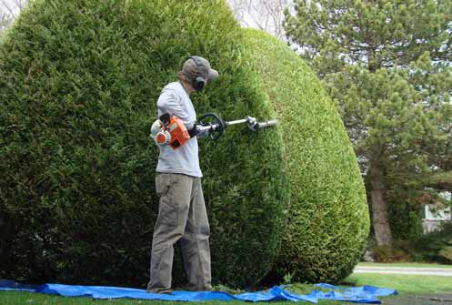 Landscaping Photo